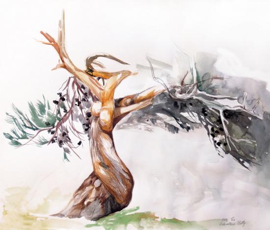 watercolors, tree, drawing