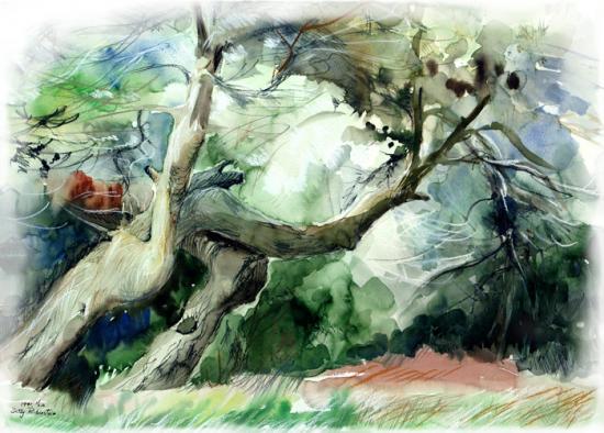 israeli painting,painting for home design,oil on canvas,forest,trees, watercolor